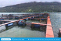 Thông Báo Đấu Giá Tài Sản số: 10.12.2A/2026/ĐG-VAA 