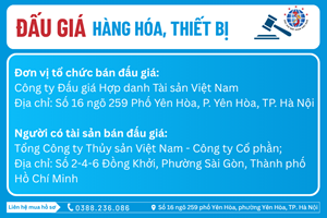 Thông Báo Đấu Giá Tài Sản số: 10.12.2/2026/ĐG-VAA