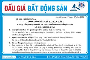 Thông Báo Đấu Giá Tài Sản số: 6.10-1B/2026/ĐG-VAA