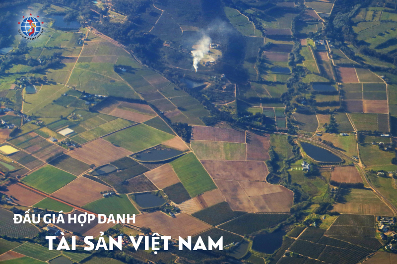 Đấu giá Toàn bộ Quyền sử dụng đất và tài sản gắn liền với đất tại thửa đất số 229