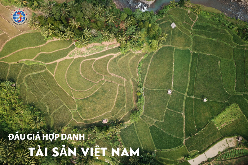 Đấu giá toàn bộ Quyền sử dụng đất và tài sản gắn liền với đất tại thửa đất số 89