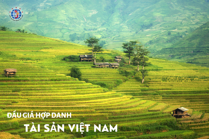 Đấu giá quyền sử dụng 140m2 đất và tài sản gắn liền với đất tại thửa đất số 71