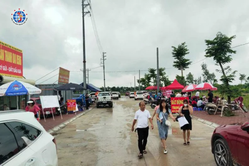 Đấu giá hàng trăm lô đất tại Hà Nội, có lô giá khởi điểm chỉ vài triệu đồng mỗi m2